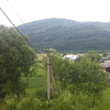 у стрийка