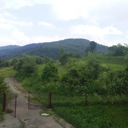 у стрийка в сопоті *
